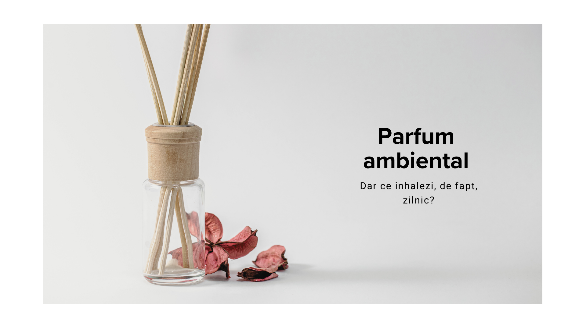 Parfumurile de cameră și mașină: ce inhalezi zilnic și cum îți pot afecta sănătatea
